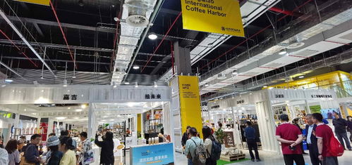 高質量發(fā)展調研行丨黑科技產品大秀場與進博會溢出效應下的房地產開發(fā)經營新機遇